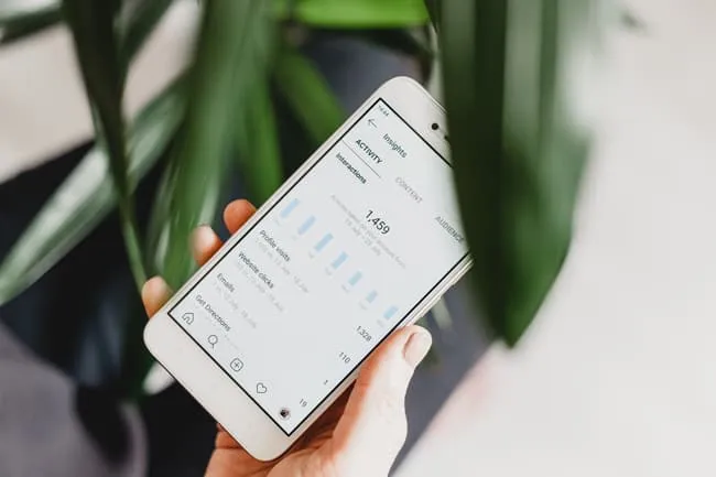 Hand tussen de planten die een mobiel vasthoudt met de acitviteitentracker van Instagram open