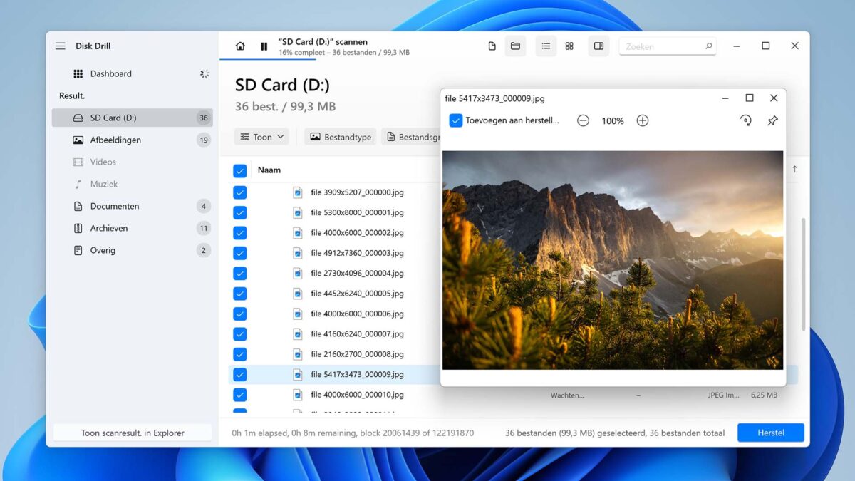 Voorbeeld van bestanden die gevonden zijn  door Disk Drill